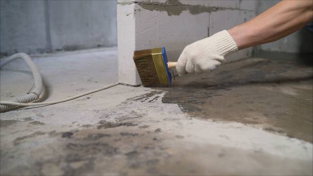 SJ Waterproofing Pros Waterproofing coverage map for Elkton, TN and surrounding area